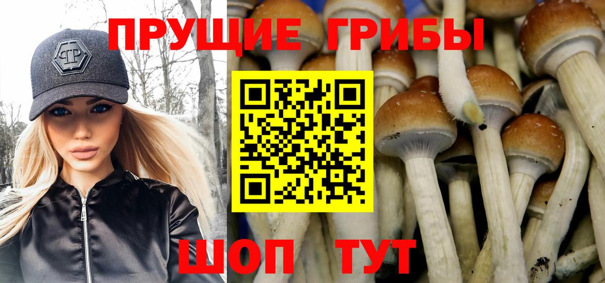 Псилоцибиновые грибы Psilocybine cubensis  цены наркотик  Богородск  Вход с VPN 